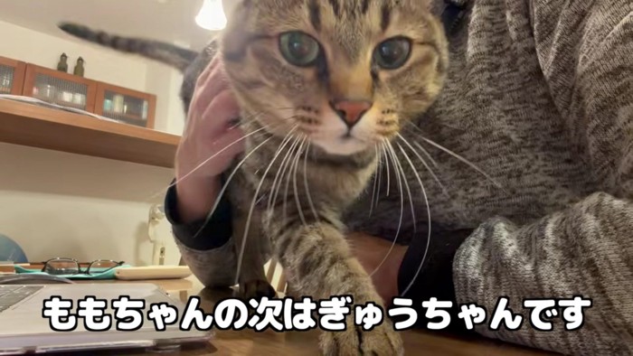 続いてやってきた牛太郎さんが