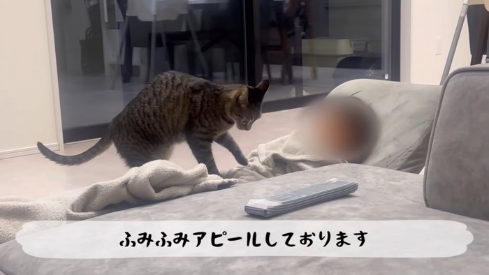 テロップ「ふみふみアピール~」