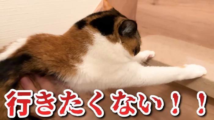 行きたくない！！