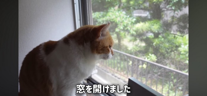 窓から