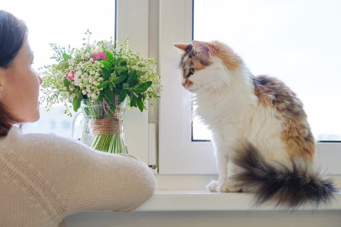 窓辺の猫に話しかける女性
