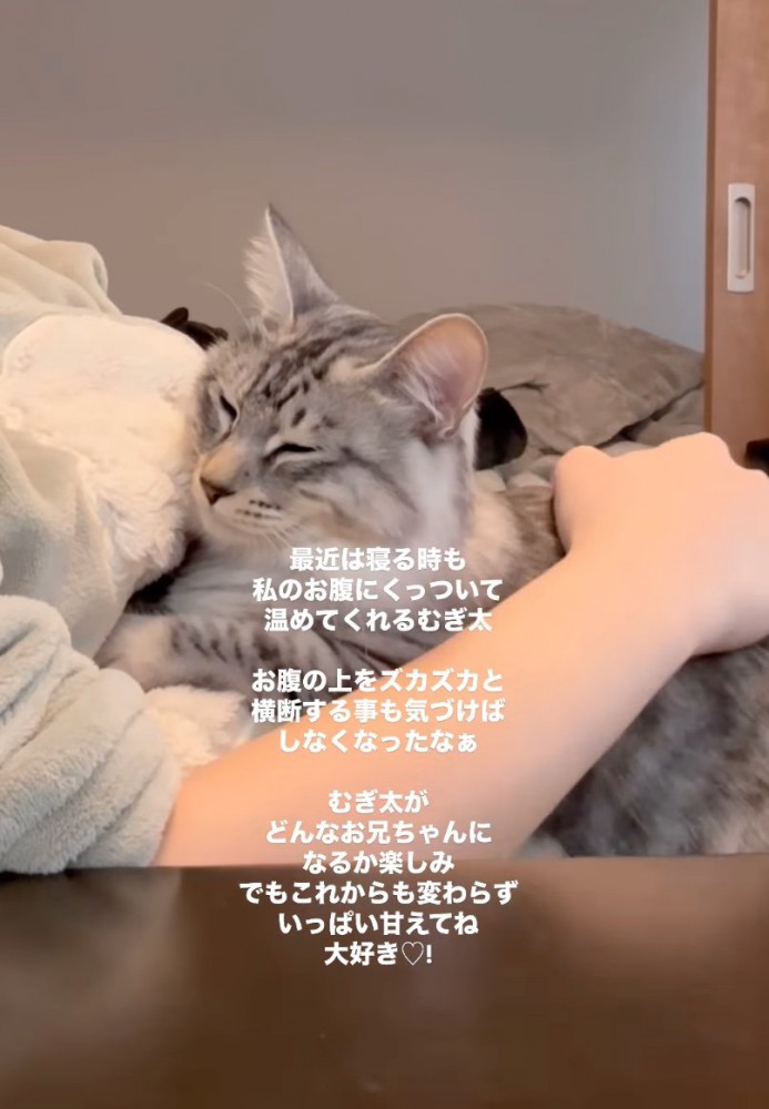 寄りかかって眠そうな猫