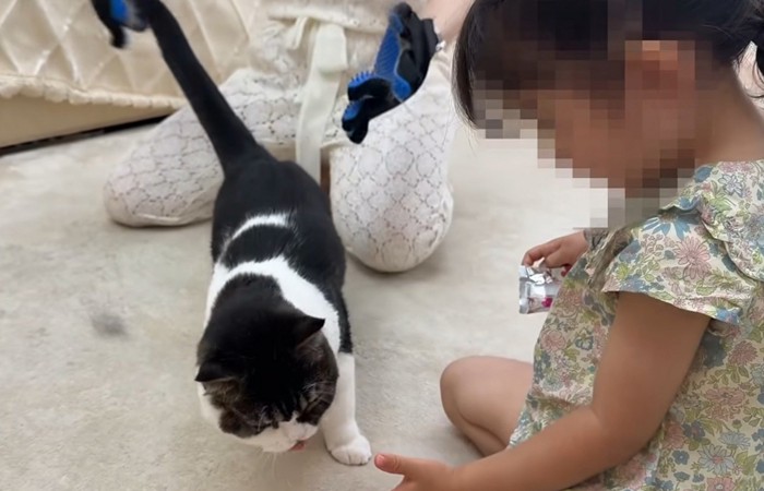 舌を見せる猫と子ども