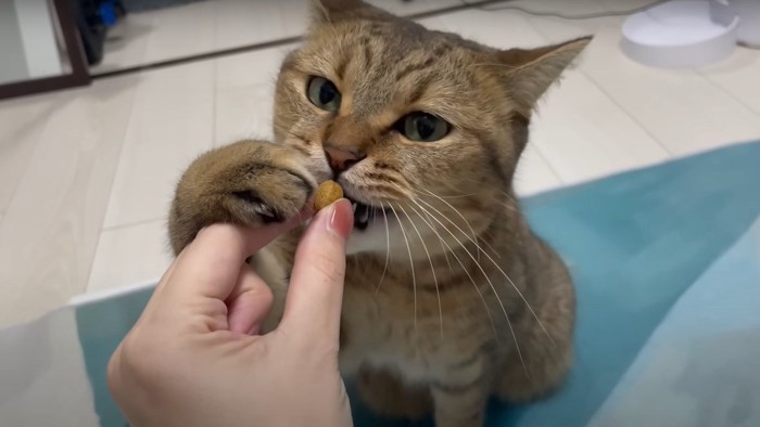 手から直接食べるみにらくん