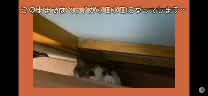 ベッドで爪とぎ