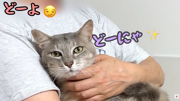 テロップ「どーよ」「どーにゃ」