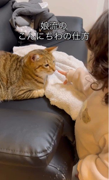 ソファに座っている猫と猫を指さしている子ども