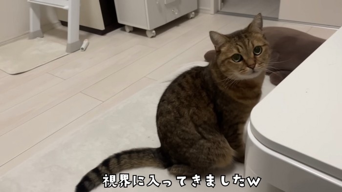 視界に入るみにらくん