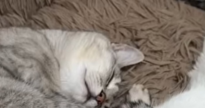 一緒に眠るふたり