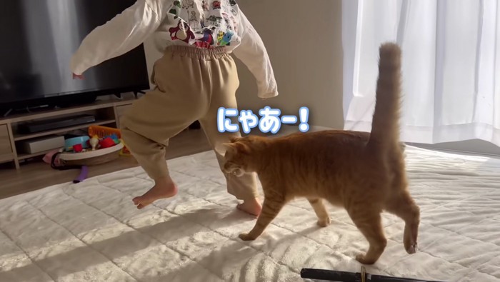 従順なとらまる