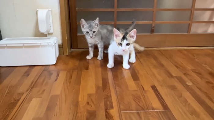 戸の前に立つふたり