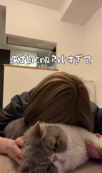 猫吸いをしている飼い主