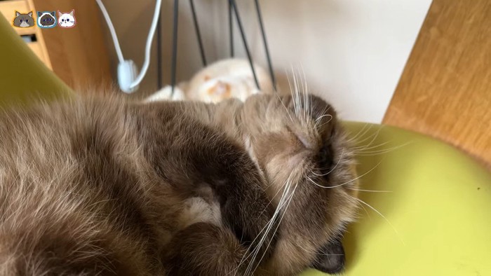 顔の少しアップ