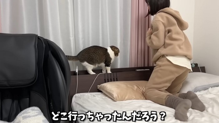 ベッドいる猫