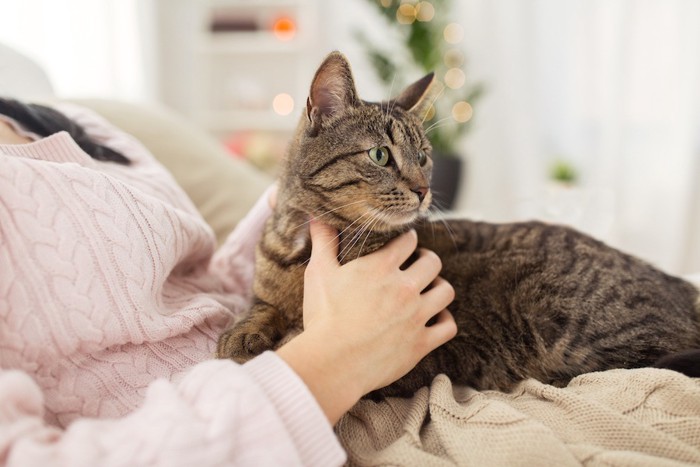 部屋でくつろぐ飼い主と猫