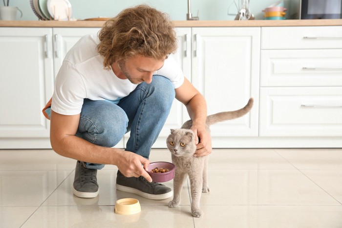 猫に食事を与える人