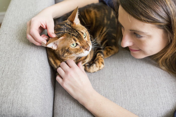 女性と猫