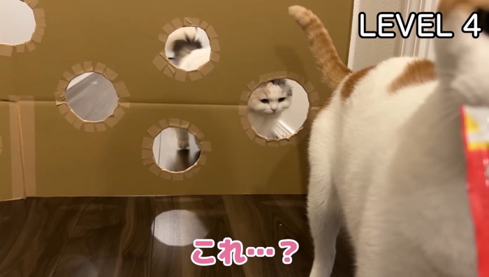 レベル4つくしちゃん