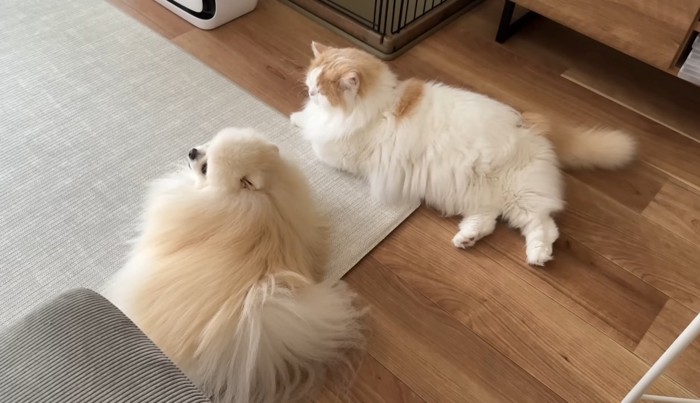 寛ぐふたり