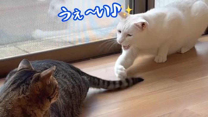 うぇ〜い♪