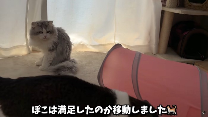 テロップ「ぽこは満足したのか~」