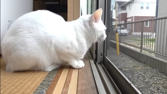 窓の前