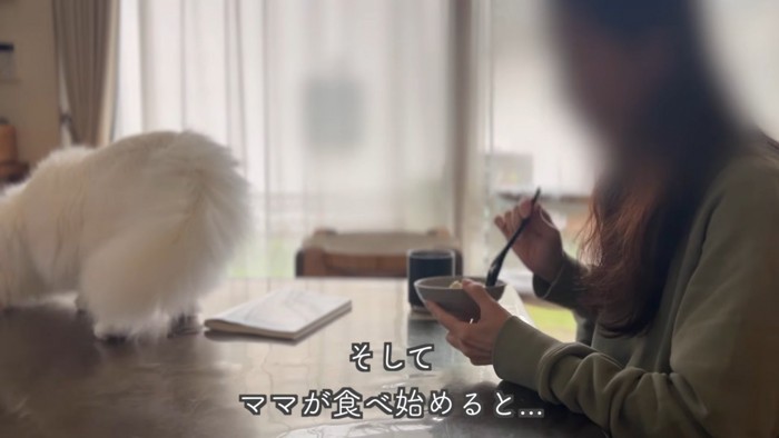 テロップ「そしてママが~」