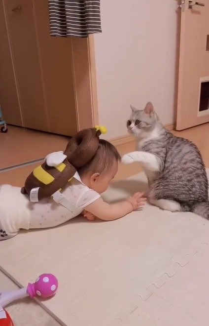 ハイハイをする赤ちゃんと猫2