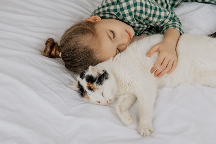 女の子の顔の近くで眠る猫