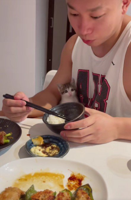食事中の男性と子猫