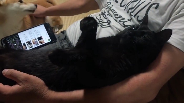 横から