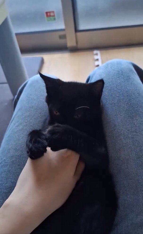 くすぐられるぎんじくん