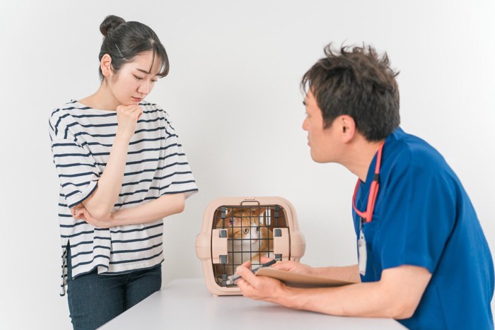 猫と獣医師と女性