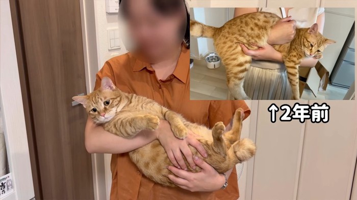 抱っこ