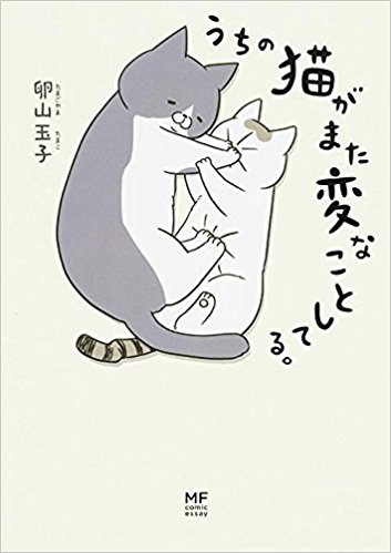 『うちの猫がまた変なことしてる。』