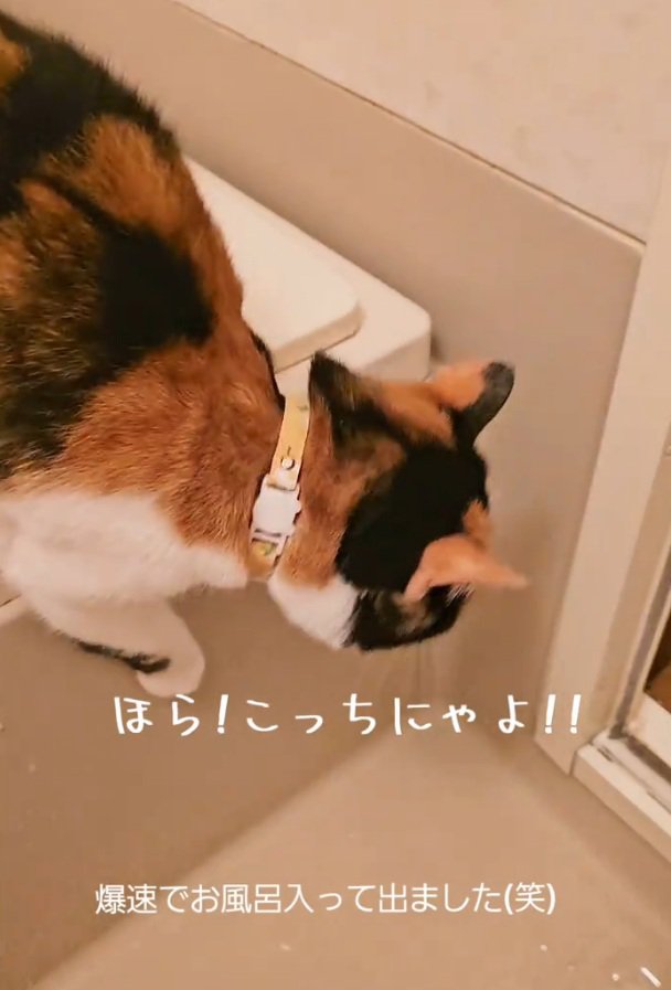 お風呂から出ようとするマオマオちゃん