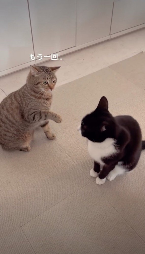 もう一回と書かれた写真