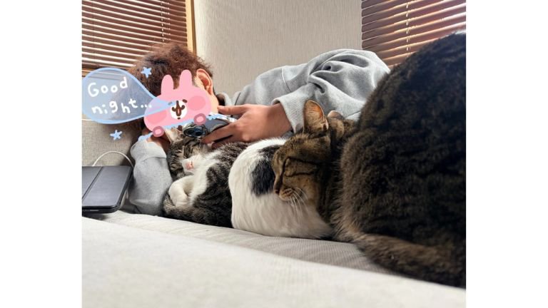 眠っている猫と男性