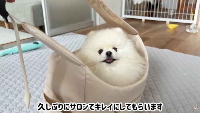 テロップ「久しぶりに~」