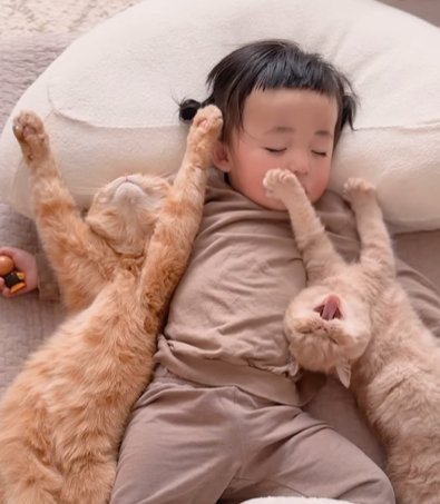 子供の間でばんざいする猫