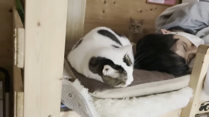 眠る豆大福くんと息子さん