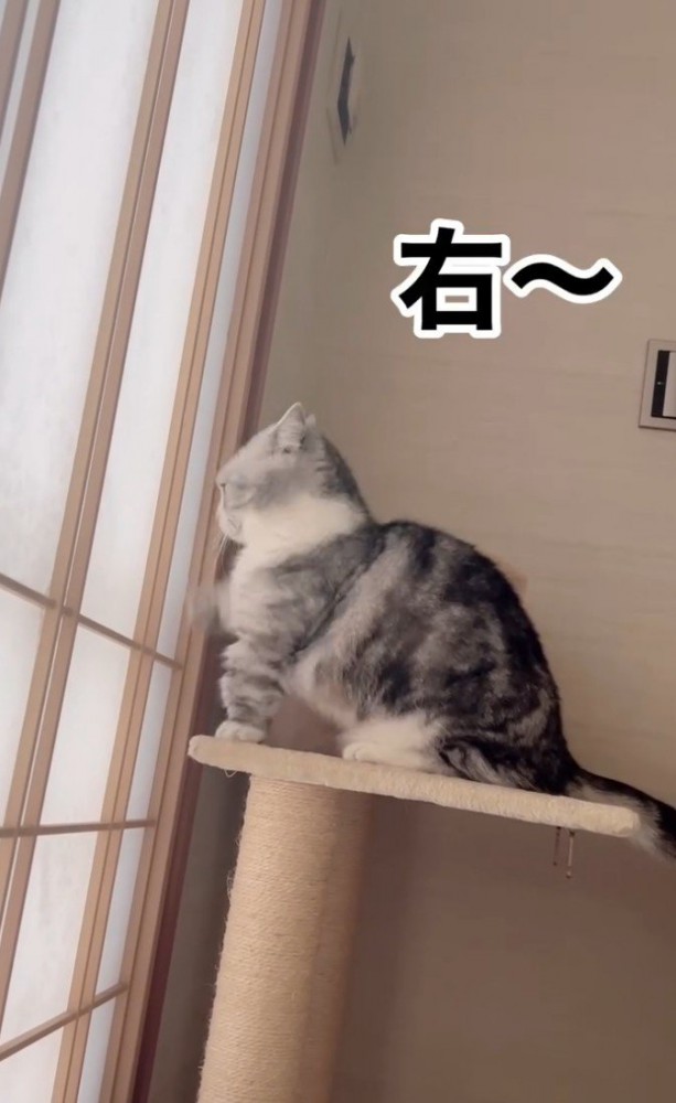 「右」と書かれた写真