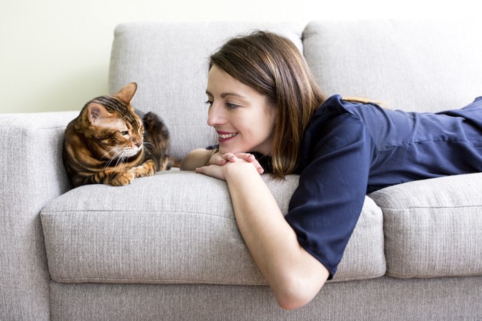 猫と飼い主