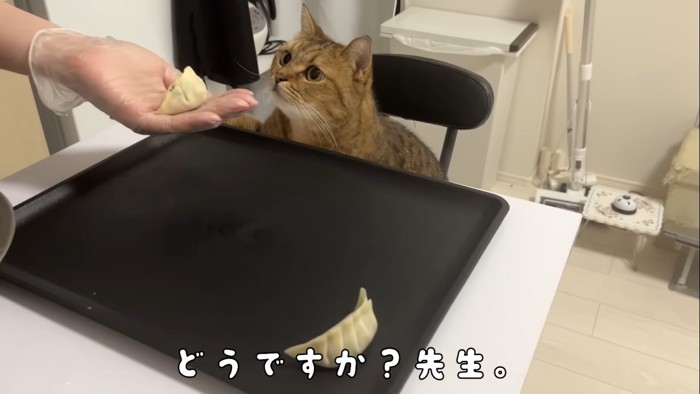 どうですか?先生。