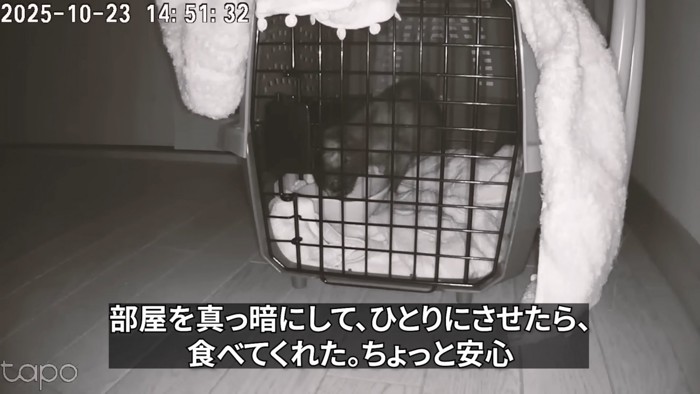 暗い部屋に置かれたキャリー