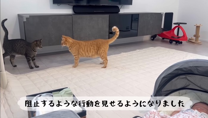 向き合うふたり