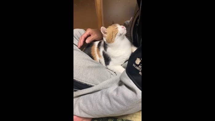 見上げながら目を細めて