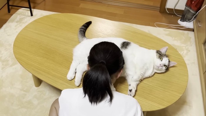 猫吸い中(正面から)