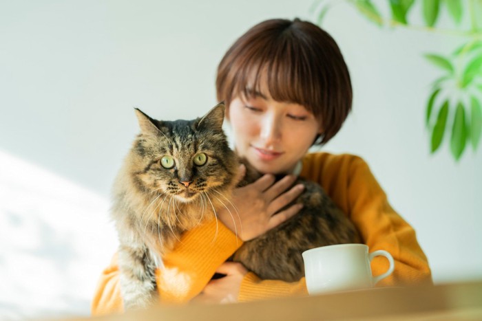 テーブルで猫を抱く女性