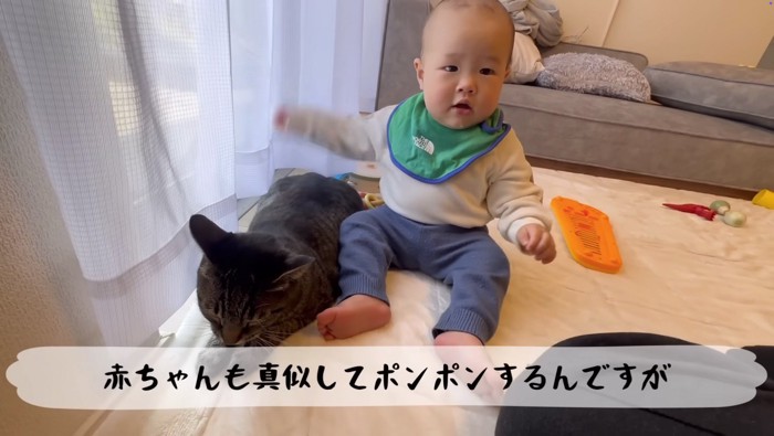 真似してポンポン